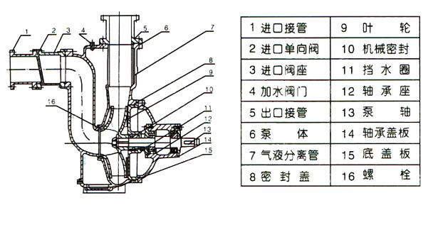 ZWPB型不銹鋼防爆自吸式無堵塞排污泵（結(jié)構(gòu)圖）